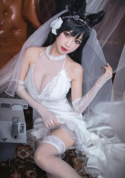 文豪野犬第一季全集免费观看_4K免费播放