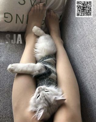 完美有多美 电影_在线影院观看