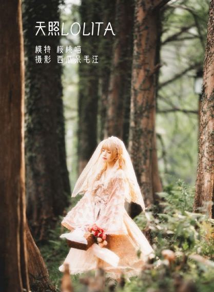 修女也疯狂 在线观看_BD英语手机在线观看