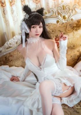 血战丛林免费观看完整版高清_高清完整版